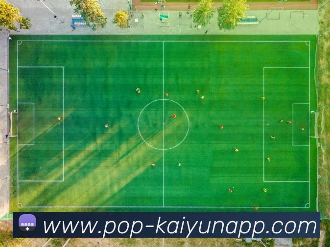 开云体育APP 高清赛事图